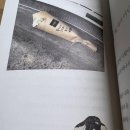 착한 고양이 이미지