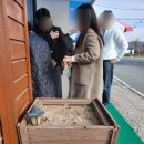 한빛펜션 | 논산훈련소펜션 중 최고! 깨끗하고 편안한 한빛펜션 후기