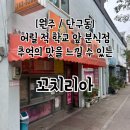 꼬치리아 이미지