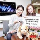 더도그맘
