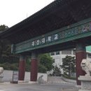 대진컨설팅 이미지