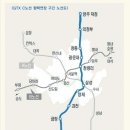 세교5로 티스토리