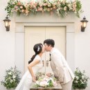 준비/비용정리]내돈내산 대구 경북 웨딩 결혼식 비용...카멜 포항본유니크 삼성가전 후기 예식장 식비 비용