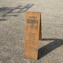 참농농장 | 얼레벌레 가드너의 식물 마켓 탐방 일기-몬마켓, 플랜츠노마드 마켓