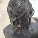 반려동물패션디자이너첫걸음 | 기분 전환엔 역시 여기! 내 머리 맡길 곳 찾았어요.