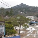 심씨농원 이미지