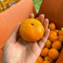 몽실농장 이미지