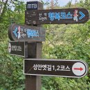 성안농장 이미지