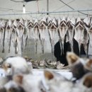 외포초교 뒤 이미지