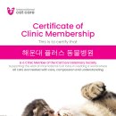 꿈동물병원 이미지