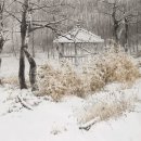 산수화 이미지