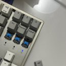 도이프 네일 네이버블로그