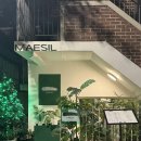 망원동 와인바 | MAESIL 매실🫒🍷