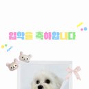 개린이세상 이미지