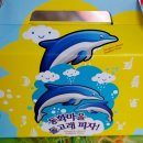 동화마을돌고래피자