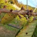 외삼농장 이미지