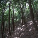 해금강주차장 이미지