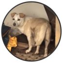 아롱이네 농장 이미지