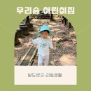 우리티움아이어린이집 | 광명 우리숲어린이집 6개월 솔직후기