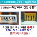 유산균 건강카페 이미지