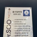 닥터수 달동점 이미지