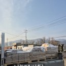 대한체육사 이미지