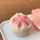 이소공방 이색카페 티하우스