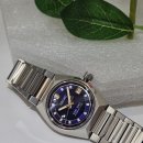 양지-3145 이미지