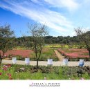 악양생태공원 이미지