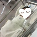 SP-5A13 | 대구여성아이병원 특실A 조리원 13박14일 알차게 이용하는 방법