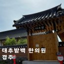 용한한의원 | 경주 대추밭백 한의원 예약 및 진료 솔직 후기.