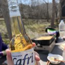 용인반딧불캠핑장 이미지