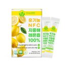 그레이스 이미지
