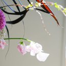 플라워 클래스 | 취미도 되고 진로도 되는 쇼위플라워 플라워클래스 후기