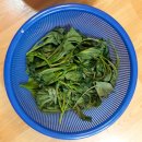 기철농장 이미지