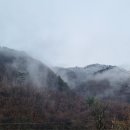 대오농장 이미지