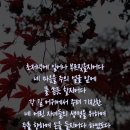 애가 이미지
