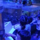 새밀알어린이집 이미지