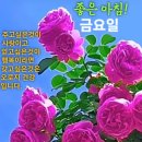 경기방 출석부] 25년 7월4일 금요일 이미지