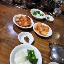 조박사 이미지