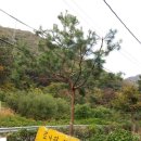 송가농장 이미지