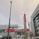 삿포로 비에이 렌트카 홋카이도 겨울 눈길운전 버스투어 렌터카 비교
