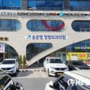 송준영정형외과의원 네이버블로그