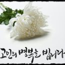 의료법인 동아의료재단 이미지