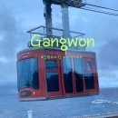 현진레미콘(주) | 강원도여행 네이처로드 바다드라이브 하고 왔어요