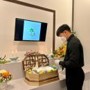 전남반려동물장례식장푸른솔 | [반려동물장례식] 광주전남 반려동물장례식 정식 허가 업체 푸른솔 펫메모리얼파크