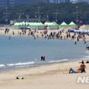 해운대해수욕장 이미지