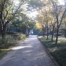 등촌근린공원 이미지