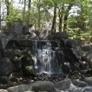 복사꽃공원 이미지