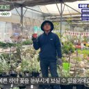 정다운농원 이미지
